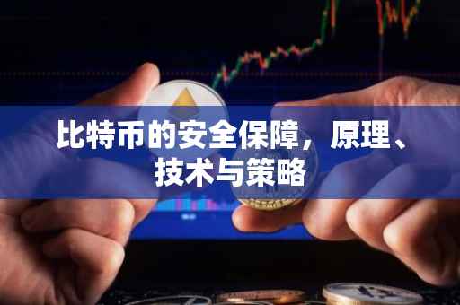 比特币的安全保障，原理、技术与策略