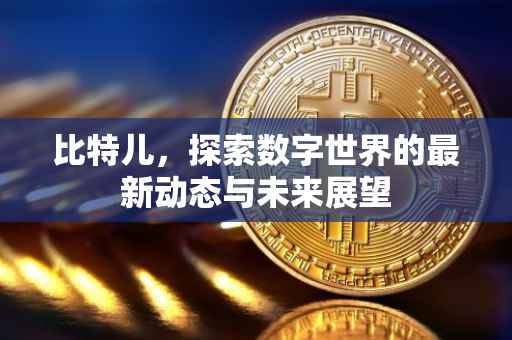 比特儿，探索数字世界的最新动态与未来展望
