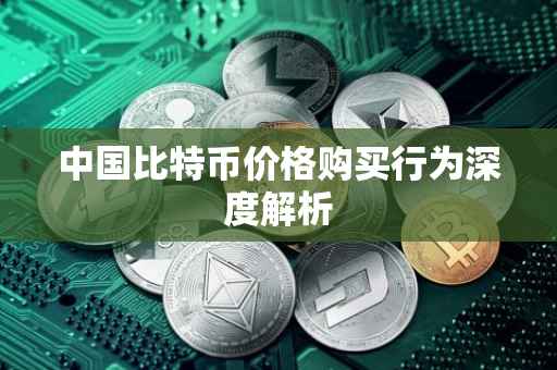 中国比特币价格购买行为深度解析