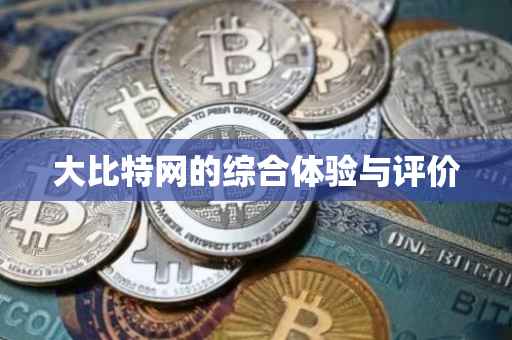 大比特网的综合体验与评价