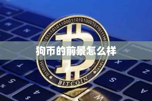 狗币的前景怎么样