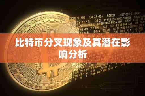 比特币分叉现象及其潜在影响分析
