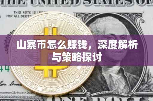 山寨币怎么赚钱，深度解析与策略探讨