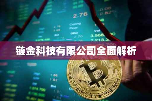 链金科技有限公司全面解析