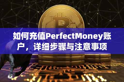 如何充值PerfectMoney账户，详细步骤与注意事项