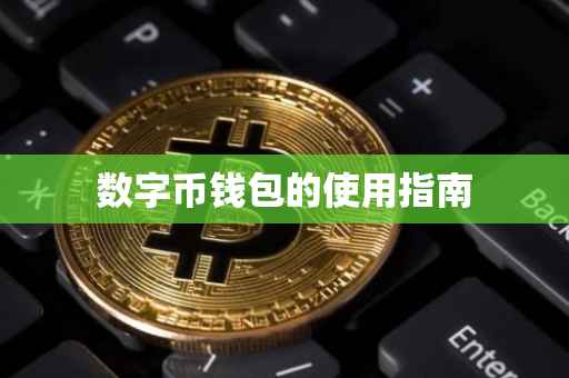 数字币钱包的使用指南