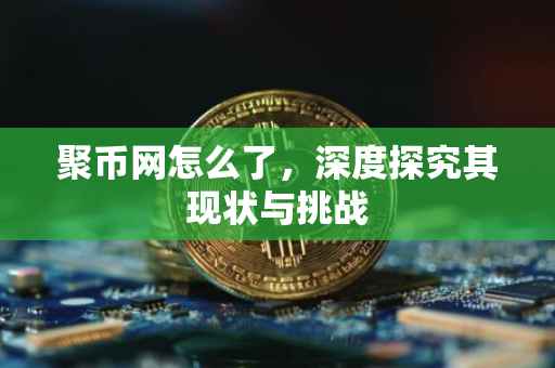聚币网怎么了，深度探究其现状与挑战