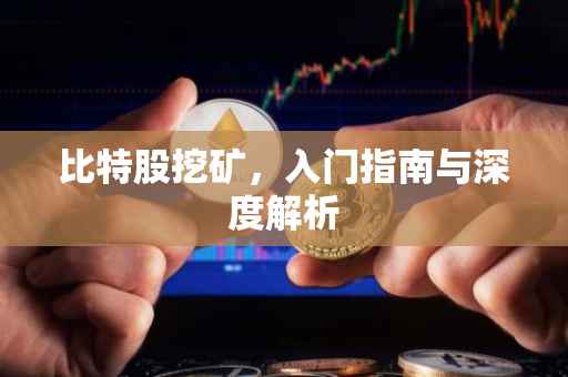 比特股挖矿，入门指南与深度解析