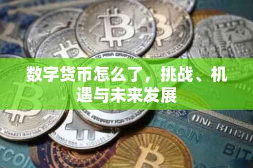 数字货币怎么了，挑战、机遇与未来发展