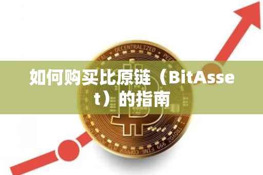 如何购买比原链（BitAsset）的指南