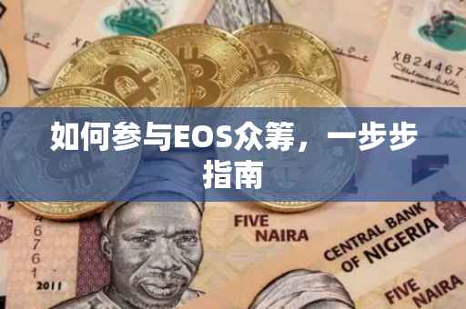如何参与EOS众筹，一步步指南