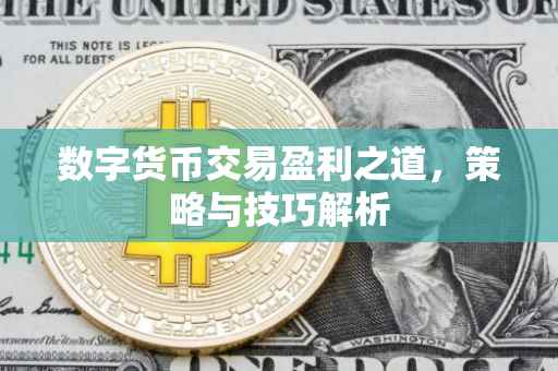 数字货币交易盈利之道，策略与技巧解析