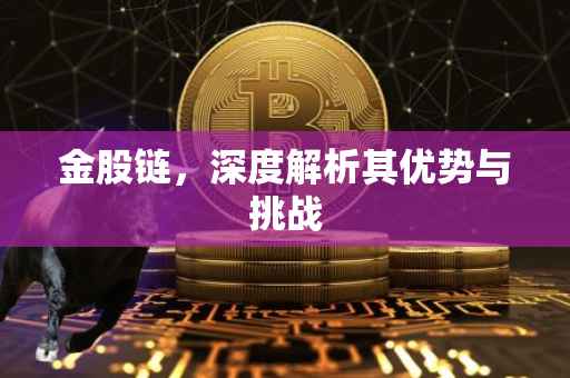 金股链，深度解析其优势与挑战
