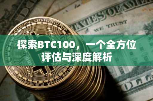 探索BTC100，一个全方位评估与深度解析