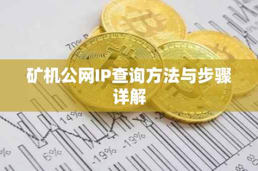 矿机公网IP查询方法与步骤详解