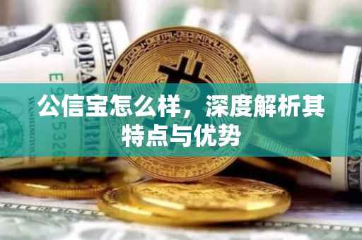 公信宝怎么样，深度解析其特点与优势