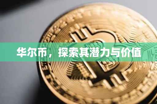 华尔币，探索其潜力与价值
