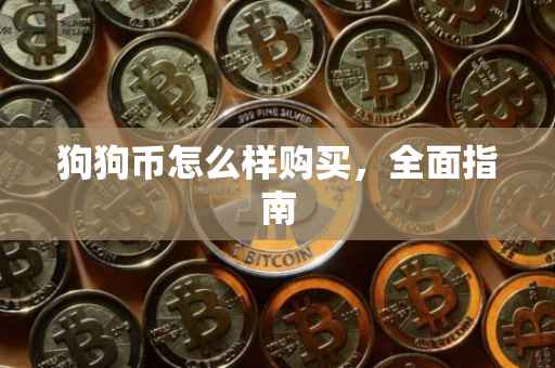 狗狗币怎么样购买，全面指南