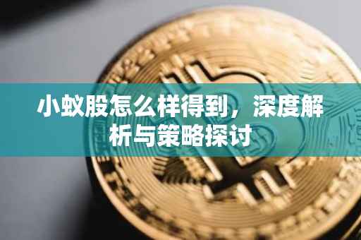 小蚁股怎么样得到，深度解析与策略探讨