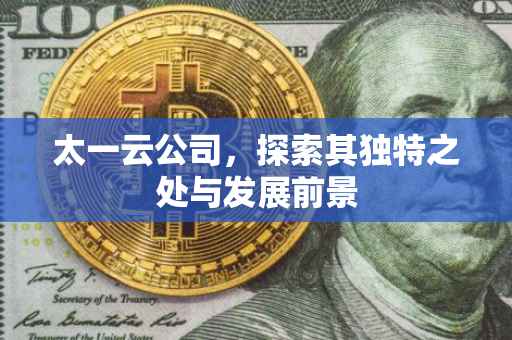 太一云公司，探索其独特之处与发展前景