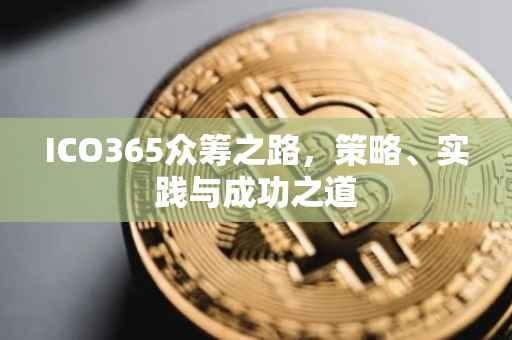 ICO365众筹之路，策略、实践与成功之道