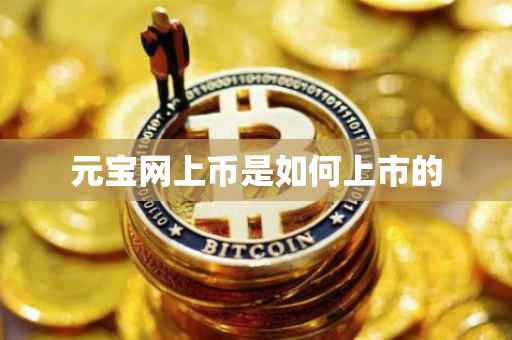 元宝网上币是如何上市的
