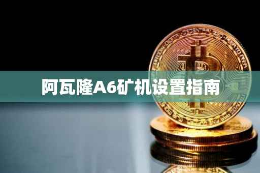 阿瓦隆A6矿机设置指南