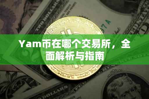 Yam币在哪个交易所，全面解析与指南