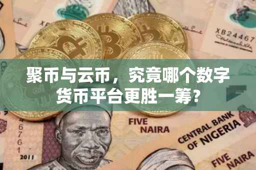 聚币与云币，究竟哪个数字货币平台更胜一筹？