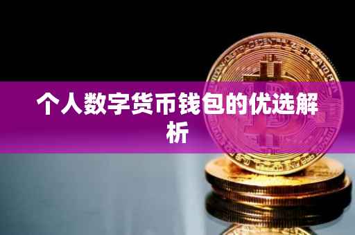 个人数字货币钱包的优选解析