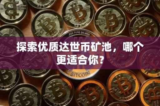 探索优质达世币矿池，哪个更适合你？