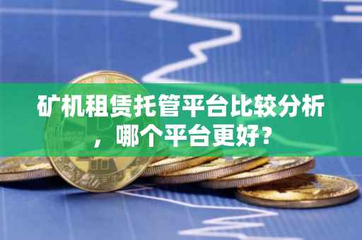 矿机租赁托管平台比较分析，哪个平台更好？
