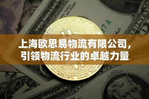 上海欧思易物流有限公司，引领物流行业的卓越力量
