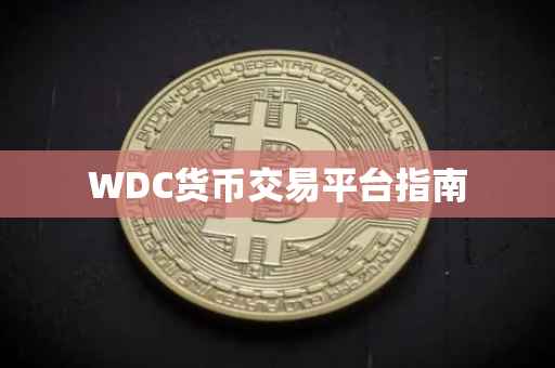 WDC货币交易平台指南