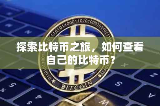 探索比特币之旅，如何查看自己的比特币？