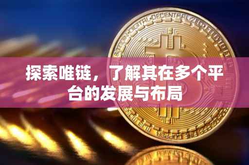 探索唯链，了解其在多个平台的发展与布局