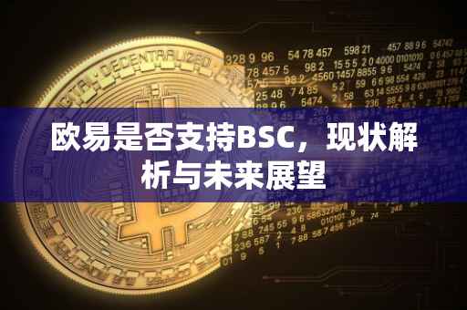 欧易是否支持BSC，现状解析与未来展望