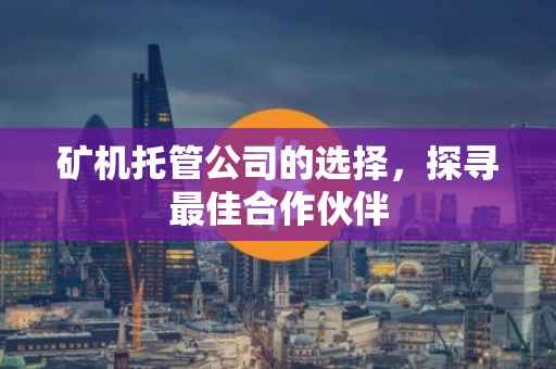 矿机托管公司的选择，探寻最佳合作伙伴