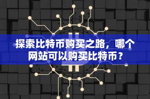 探索比特币购买之路，哪个网站可以购买比特币？