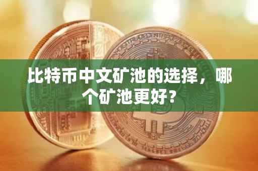 比特币中文矿池的选择，哪个矿池更好？