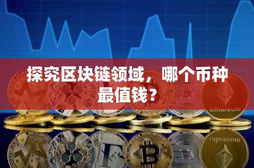 探究区块链领域，哪个币种最值钱？