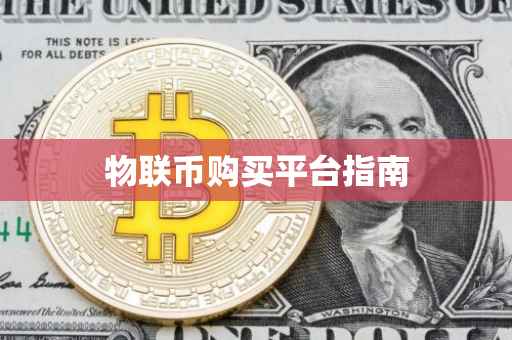 物联币购买平台指南