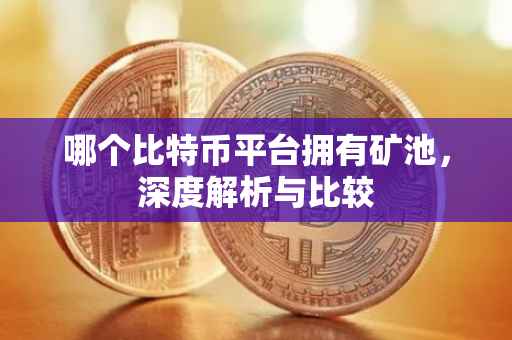 哪个比特币平台拥有矿池，深度解析与比较