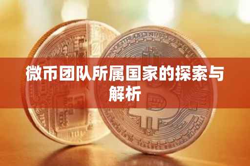 微币团队所属国家的探索与解析