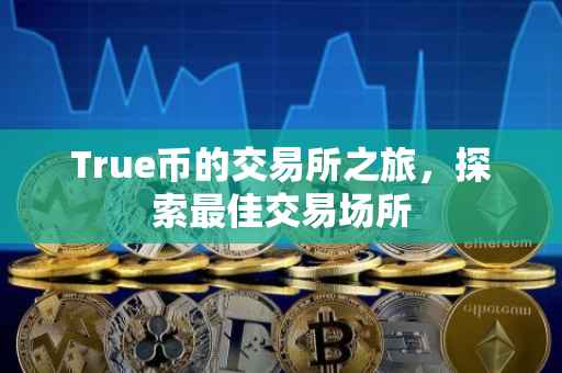 True币的交易所之旅，探索最佳交易场所