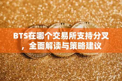 BTS在哪个交易所支持分叉，全面解读与策略建议