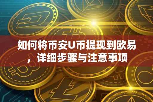 如何将币安U币提现到欧易，详细步骤与注意事项