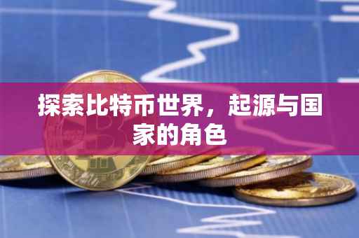 探索比特币世界，起源与国家的角色