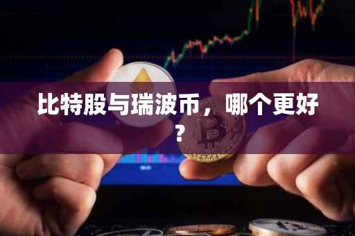比特股与瑞波币，哪个更好？