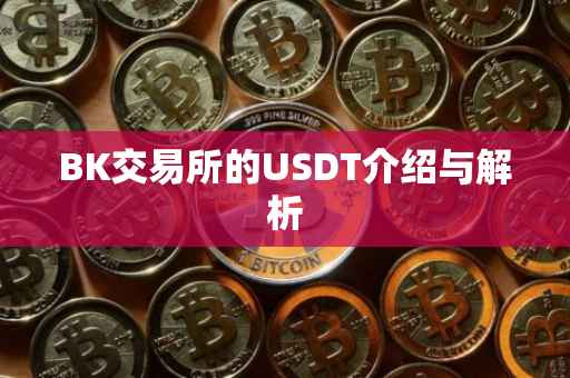 BK交易所的USDT介绍与解析